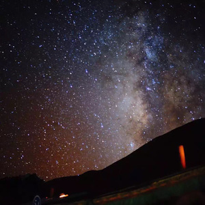 欧美🅰级毛片一夜
